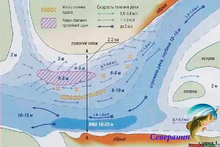 В каких местах ловить рыбу. Место стоянки судака на реке. Места обитания судака. Места стоянки щуки на реке. Места обитания судака зимой.