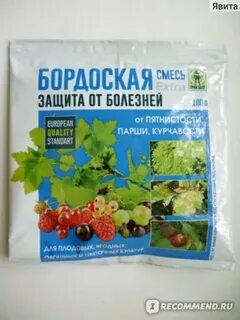 Железный купорос или бордосская смесь что лучше