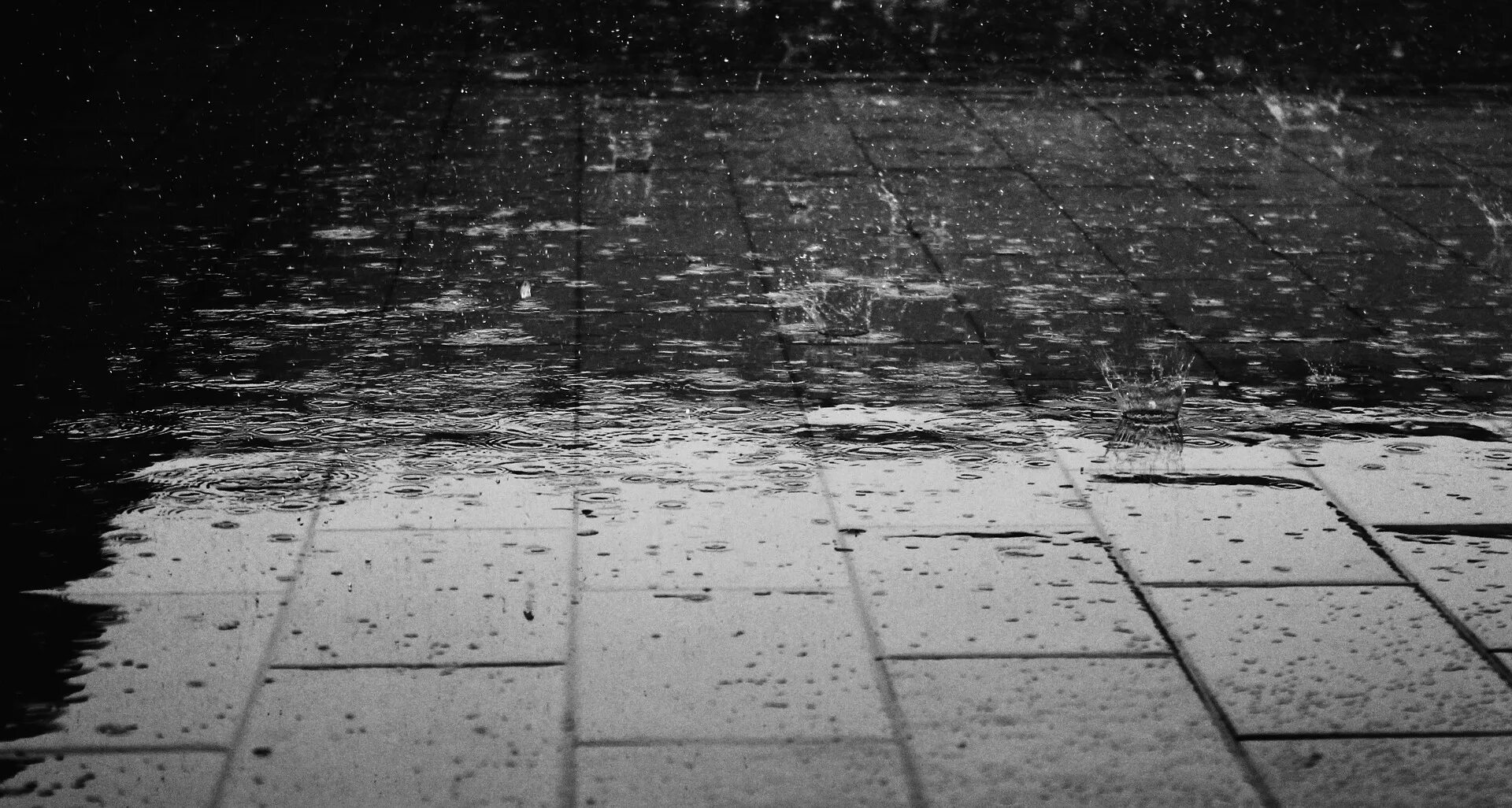 Org rain. Дождь на асфальте. Мокрый асфальт. Капли на асфальте. Дождь на асфальте Эстетика.