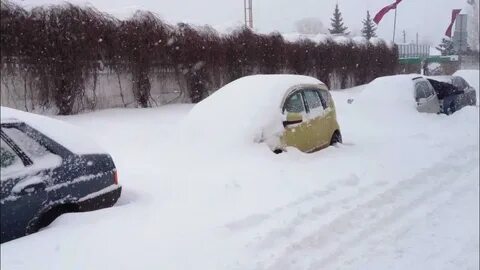 Видео 2013 года