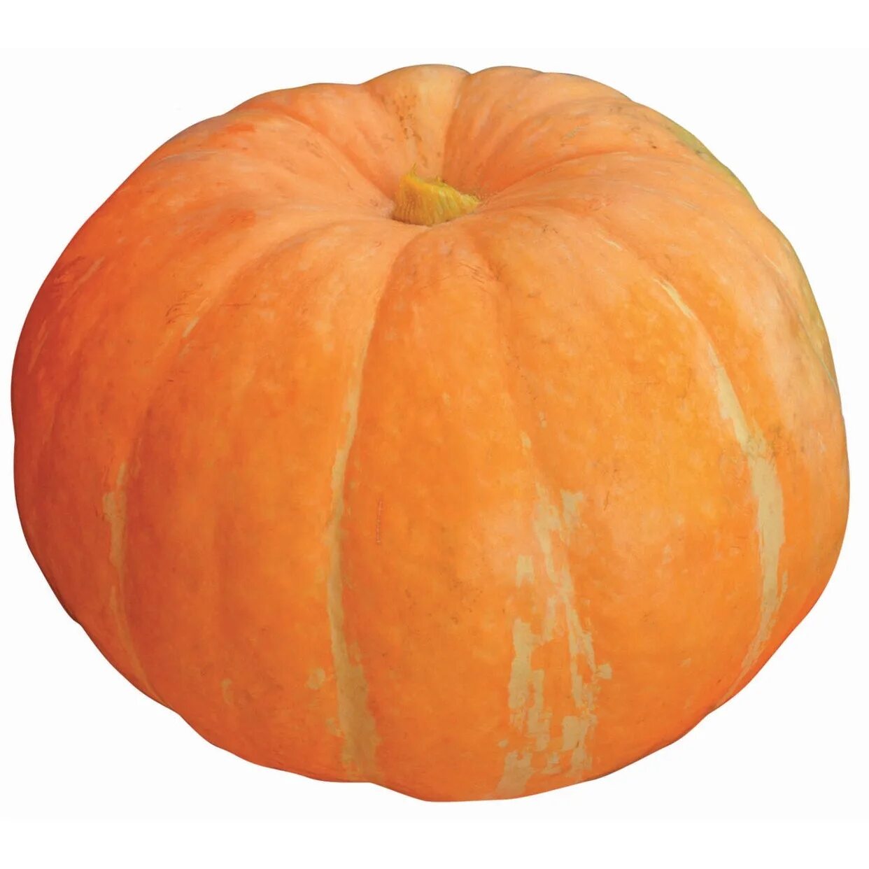 Тыква в магазине пятерочка. Дск тыква 1кг. Пятерочка тыква. Тыква из пятерочки. Тыква перекресток.