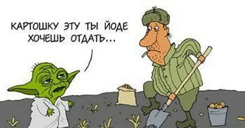 Хочется йода