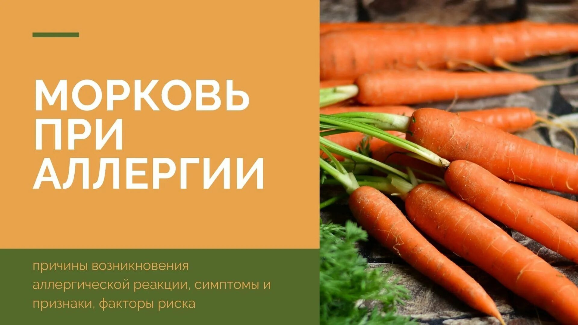 Морковь перекрестная аллергия. Морковь при поллинозе. Ем морковь на ночь