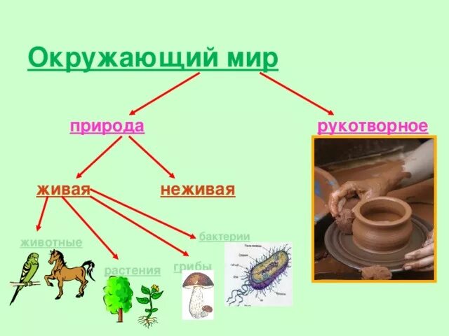 Переход от неживого к живому. Окружающий мир Живая и неживая природа. Мир природы и человека Живая неживая. Живая природа неживая природа и рукотворная. Таблица Живая и неживая природа.