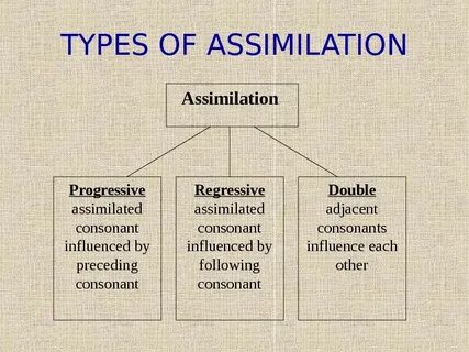 Assimilation in english phonetics