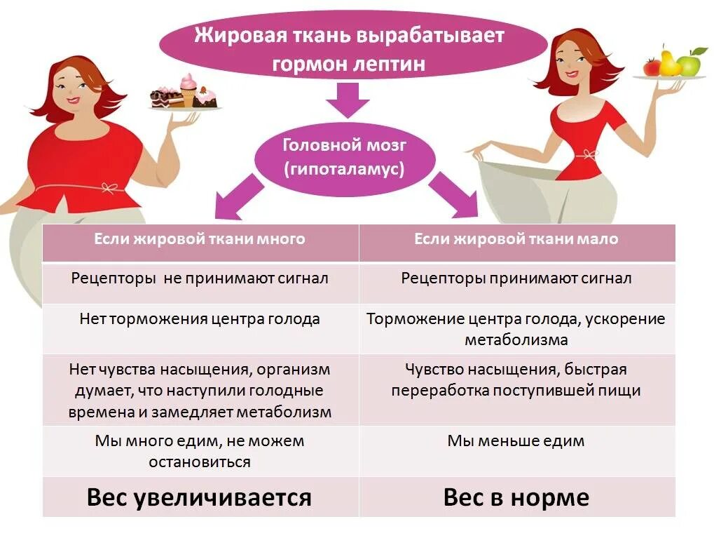 Менопауза уровень гормонов. Гормоны влияющие на ожирение. Гормоны влияющие на лишний вес. Влияние женских гормонов на вес женщины. Гормоны влияющие на набор веса у женщин.