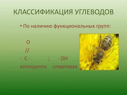 Функциональная группа углеводов