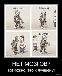 Людей у которых нет мозгов