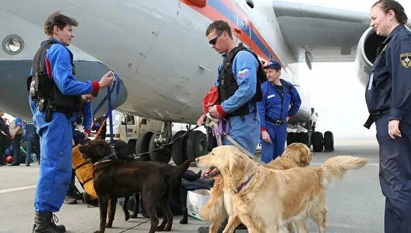 Поисково спасательные силы. Отряд Центроспас МЧС России. Аэромобильный отряд МЧС РФ, отряд Центроспас. Служба МЧС России (поисково – спасательная служба). Кинологической службы отряда «Центроспас»..