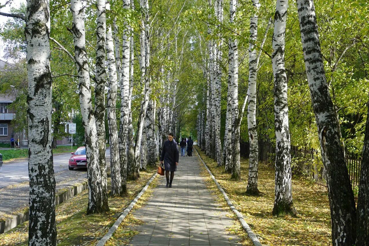 Ревда лист. Ревда парк. ревда свердловская область парк горького. парк сквер горького ревда. лето в ревде.