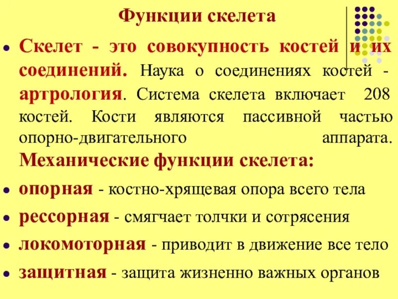 Функции скелета позвоночника. Рессорная функция скелета. рессорная функция костей. функции скелета человека. рессорная функция позвоночника это.