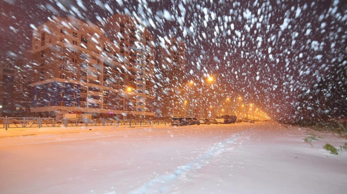 Буря мчится снег летит. Метель. Сильный снегопад. Снегопад в городе. Красивый снегопад.