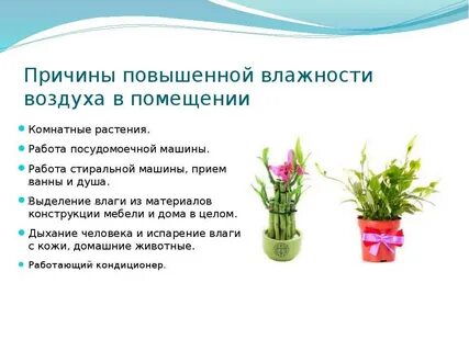 Какой воздух легче сухой или влажный почему