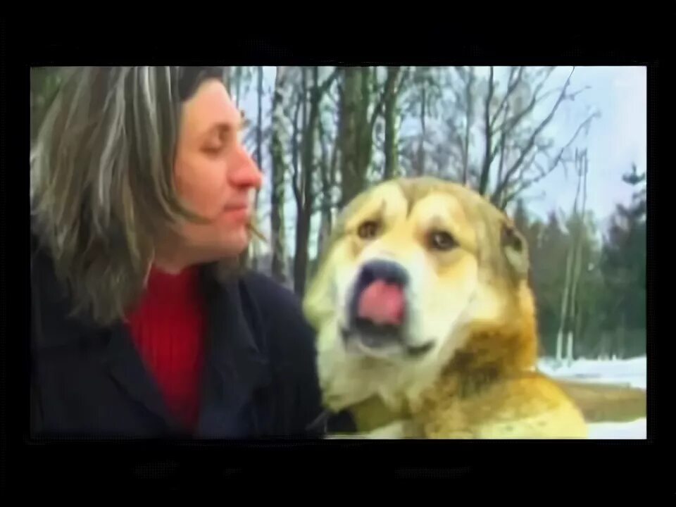 Клип про собаку и девушку. Маршрут построен badcomedian. Клип песни собака. Коли собаки с клипа. Песни клип с собакой.
