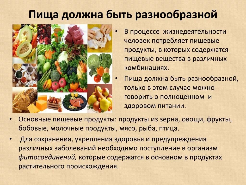 Почему для сохранения продуктов в жаркий день