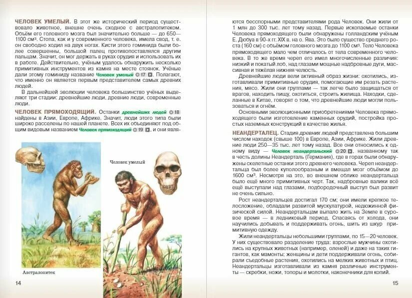 Учебник по биологии 8 класс Сивоглазов Сапин. Биология 8 класс Сивоглазов Сапин Каменский. Биология Сивоглазов в.и., Сапин м.р., Каменский а.а.. Биология 8 класс Сивоглазов Каменский.