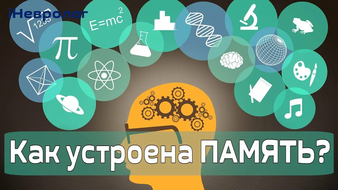 Как работает память человека схема. Как устроена человеческая память. Как устроена память. Как устроена память. Как устроена память человека.