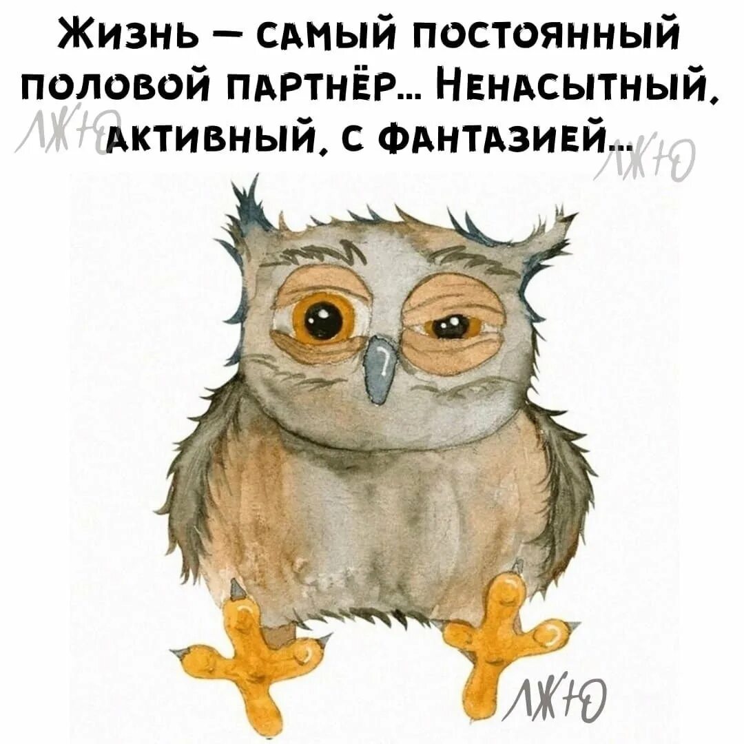 Дергается глаз. Дергается глаз