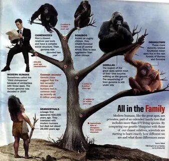 They are relatives