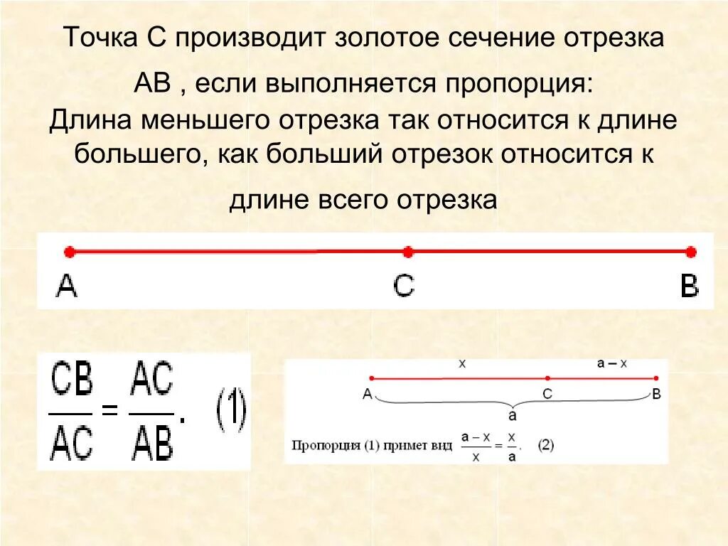 Жизнь человека делится на огромные промежутки. Золотое сечение делим отрезок. Золотое сечение соотношение отрезков. Деление отрезка по правилу золотого сечения. Деление отрезка в отношении золотого сечения.