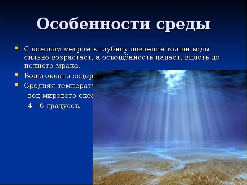 Какие факторы влияют на жизнь в океане