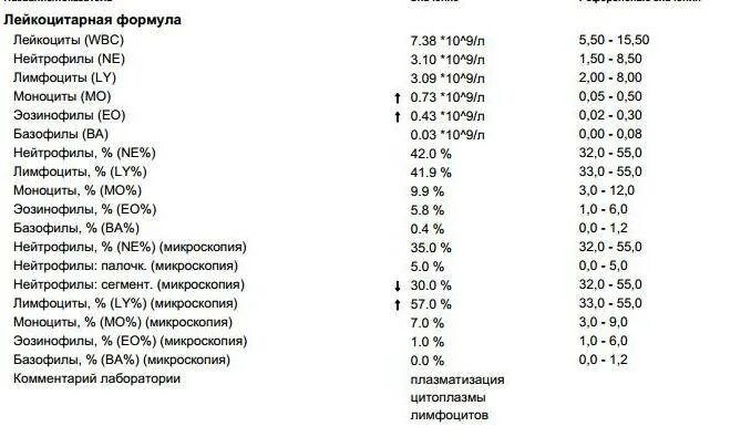 Норма тромбоцитов у детей 5. Норма лейкоцитов в крови у ребенка 2. Лейкоцитарная формула норма 5 месяцев. Норма лейкоцитов у ребенка 10 месяцев. Лейкоцитарная формула лимфоциты.