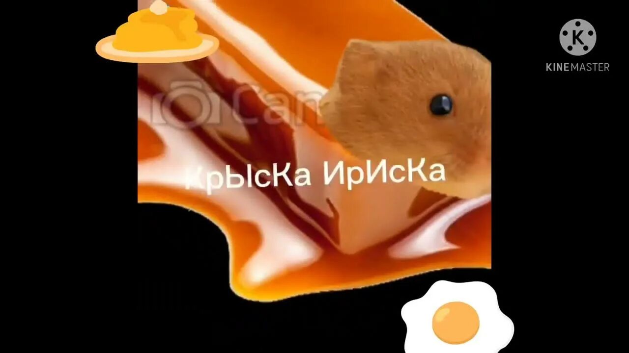Мышка сосиска крыска ириска кот. Мышка сосиска кот бутерброд. мышка сосиска фото. ириски с котиком. кот ириска.