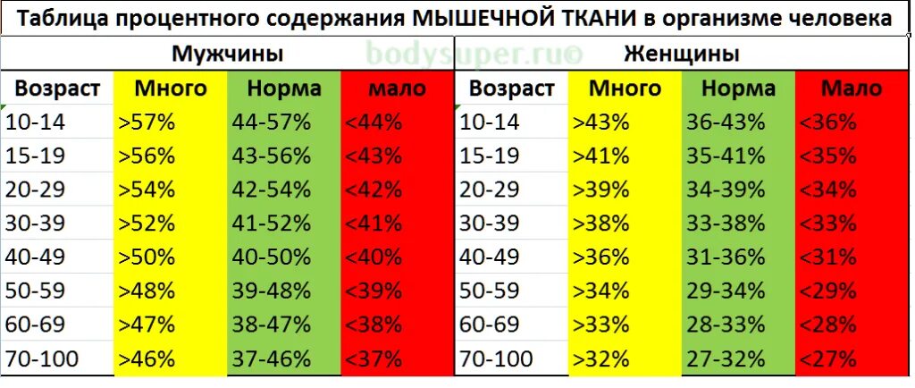 Насколько нормально. Процент мышечной массы в организме норма. Норма мышечной массы у мужчин в процентах. Норма мышечной массы в организме женщины. Нормы жира воды и мышц в организме у женщин.