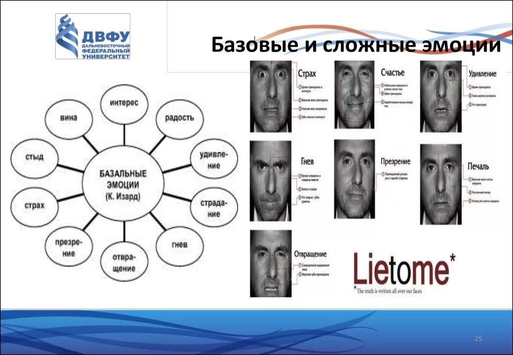 Выберите сложные эмоции. Основные эмоции. Основные эмоции человека. Основные базовые эмоции. Список базовых эмоций.