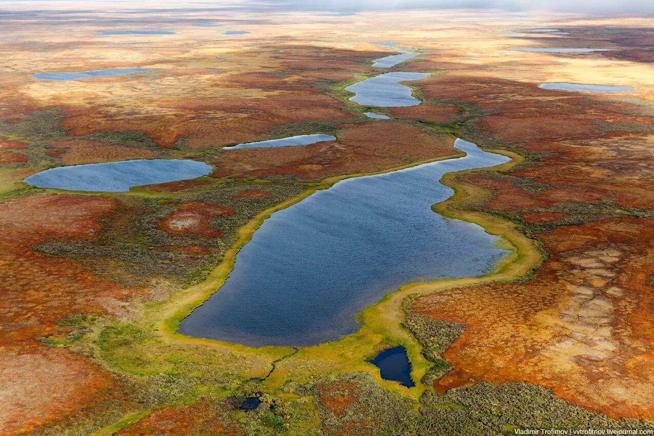 Какие воды есть в тундре