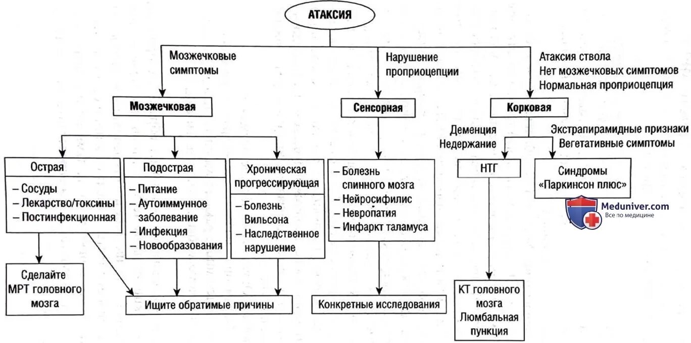 Инвалидность атаксия. Походка при вестибулярной атаксии. Атаксия взора. Сенситивная атаксия неврология. Инвалидность атаксия.