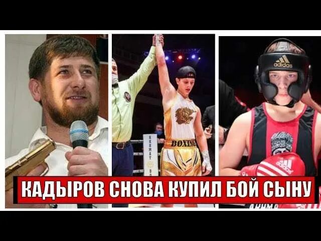 Эли Кадыров бой. Сын Кадырова бой aca. Рустем Кадыров эльдиарус.