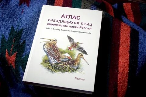 Пернатая наука