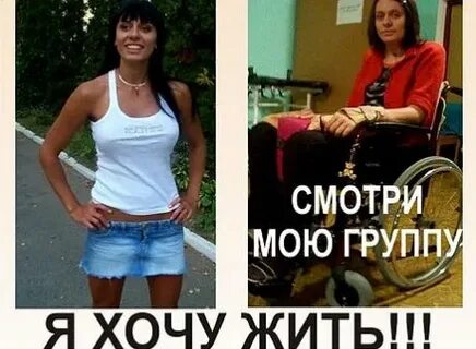 Митина жж