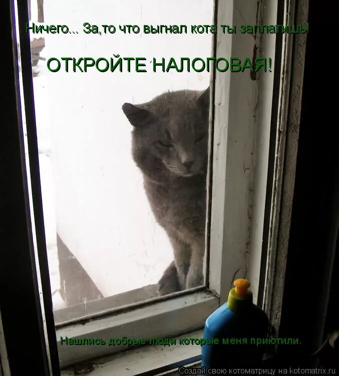 Как прогнать кота. Котов обижать нельзя. Возвращение блудного кота. Наказание кошки. Как прогнать кота.