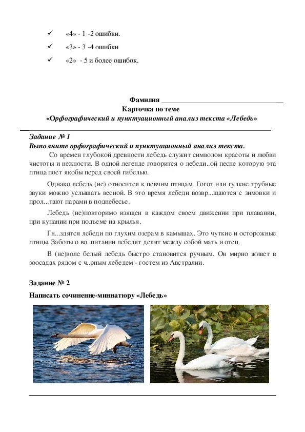 Скажите лебеди текст. Текст о лебедях. План по тексту лебеди. Анализ слова лебедь. Проверочная работа лебедь.