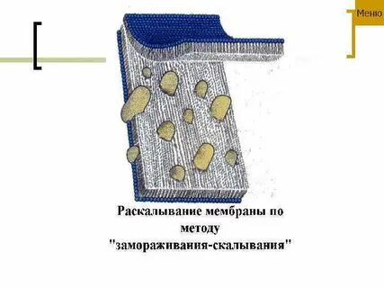 Метод замораживания скалывания