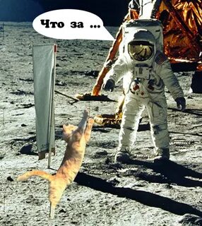 С днем космонавтики прикол фото