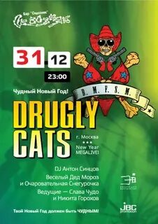 Drugly cats