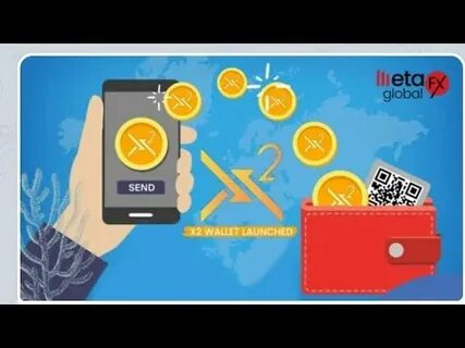 Meta wallet