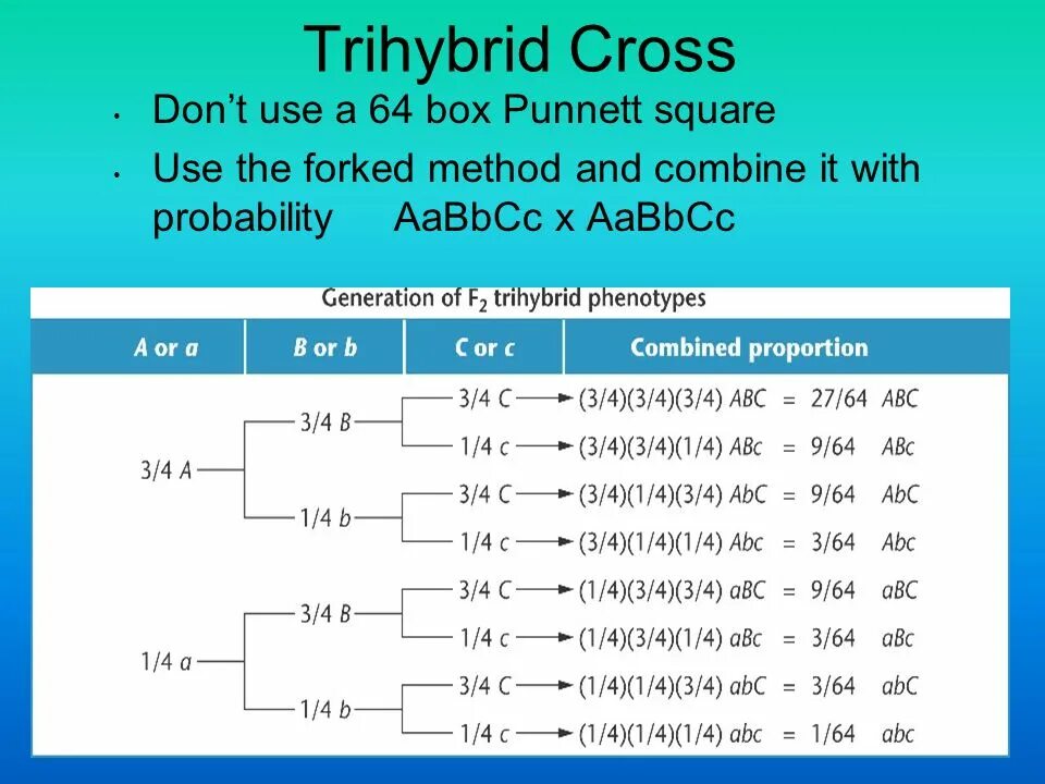 Trihybrid Cross. Расщепление AABBCC AABBCC. AABBCC расщепление.