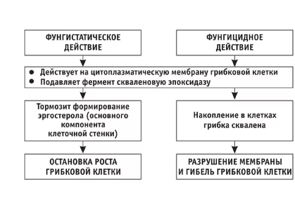 Механизм действия противогрибковых. Синтетические противогрибковые средства азолы. Механизм действия антимикотиков. Фунгицидное и фунгистатическое действие. Антибиотик с противогрибковым действием.