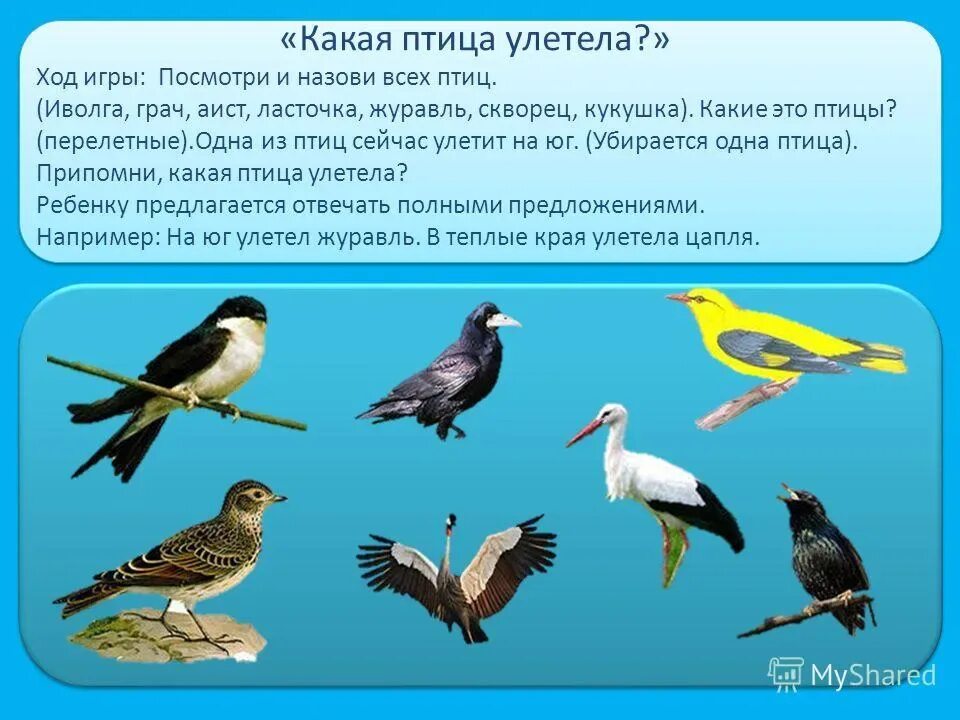 Перелетные птицы. Названия зимующих и перелетных птиц. Перелетные птицы для детей. Перелётные птицы названия.