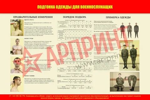 Форма 100 для военнослужащих