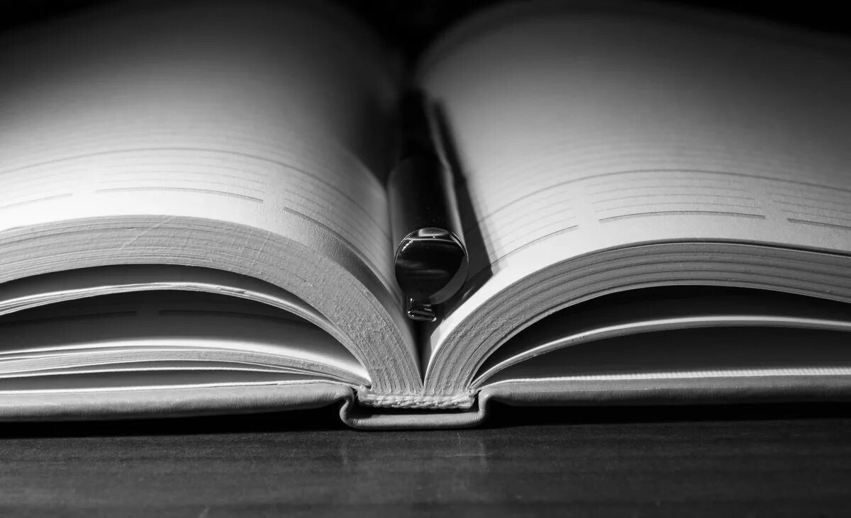 черно-белый цветок. черно белые картинки. чб эстетика. черно белые записи. книга для….