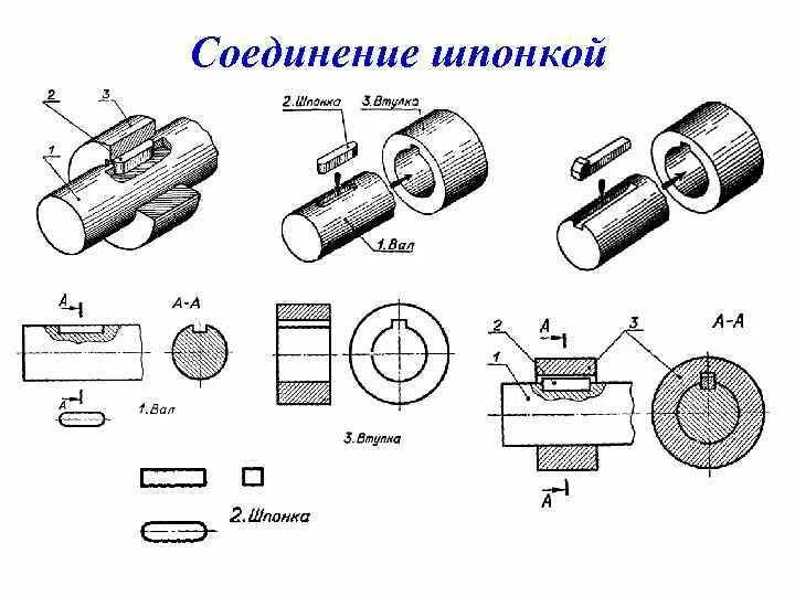 Соединение цилиндрических деталей. Шпоночное соединение с цилиндрической шпонкой. Шпоночные и шлицевые соединения схема. Шпоночный ПАЗ соединение с деталей. Чертеж калибра для шпоночного паза.