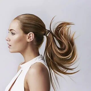 Ponytail