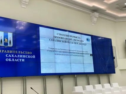 Сахалинская область организации