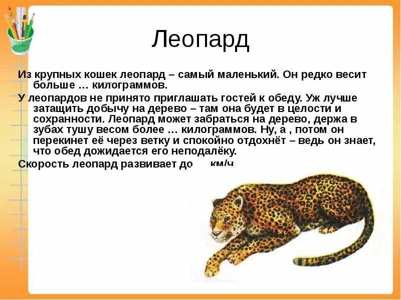 Леопард слоги. Леопард описание. рассказ о леопарде. леопард картинки с описанием. описание леопарда для детей дошкольного возраста.
