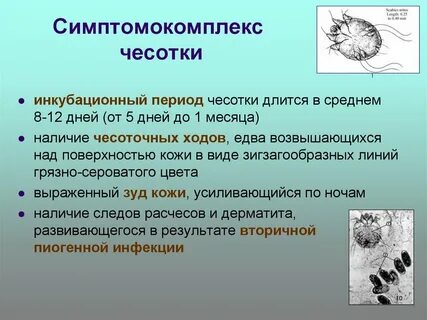 Инкубационный период чесотки